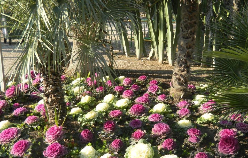 Elche Gardens