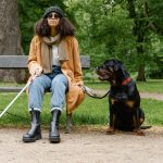 Assistance dog
