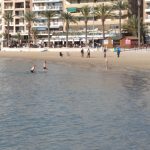 Torrevieja Beach Bars